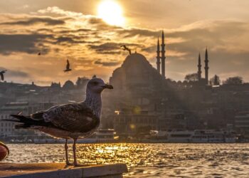 Стамбул Турция 3 февраля 2023 года