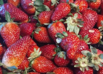 strawberry Анапа объекты с питанием 16 июня 2026 года