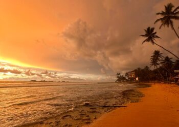 Шри Ланка 14 декабря 2025 года