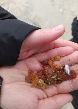 Балтика авиа из НН 6 марта 2026 года