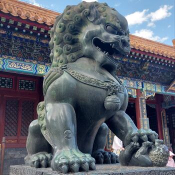 Пекин Китай 5 декабря 2025 года