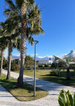 Имеретинка авиатуры из НН 7 июня 2026 года