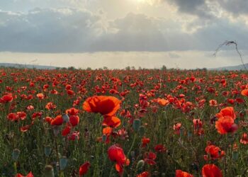 Крым Судак 1 мая 2026 года