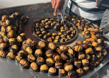 Стамбул 12 марта 2026 года