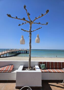 Rixos Water World Актау май-июнь 2026 года