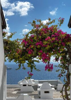Bodrum Бодрум 6 июня 2026 года